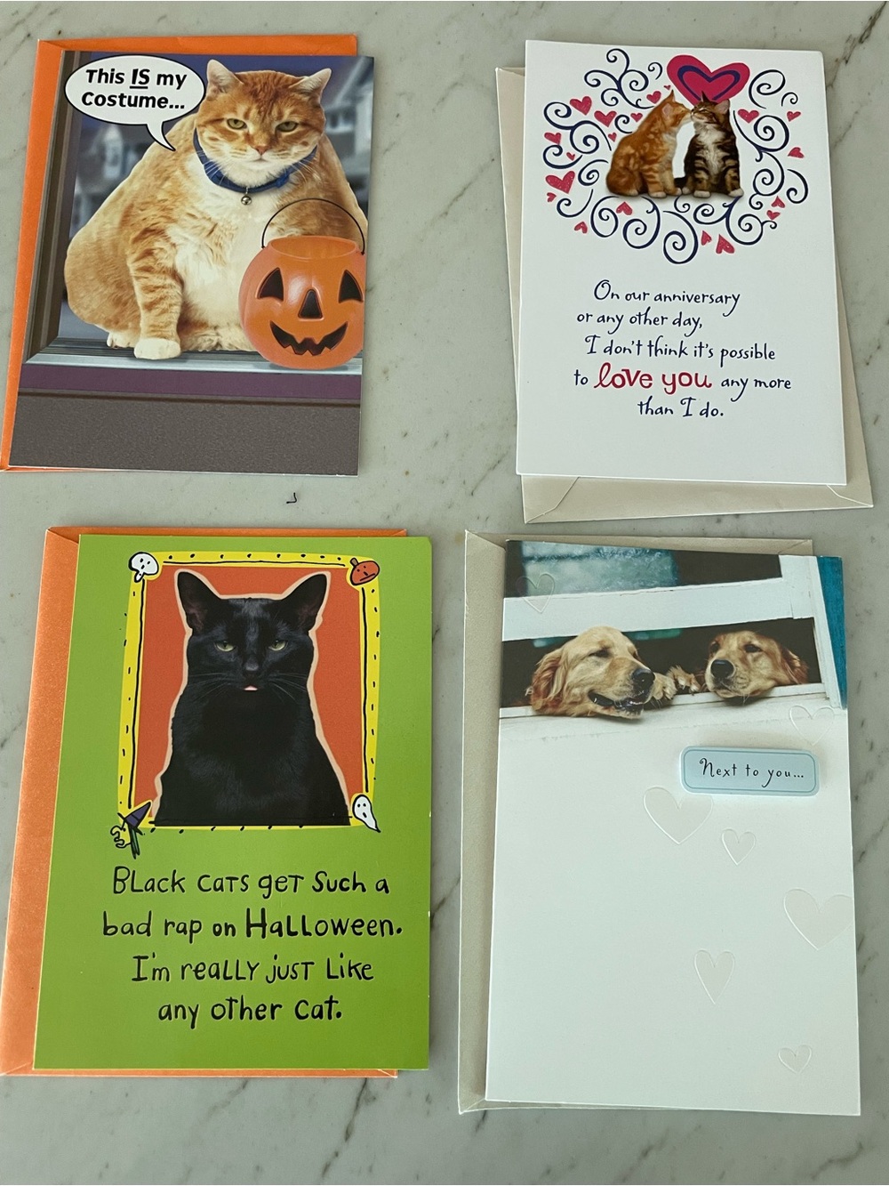 Lot Of Four Greeting Cards And Envelopes: Cats, Dogs, Halloween & Anniversary